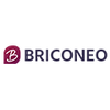 Logo BRICONEO