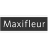 Logo Maxifleur
